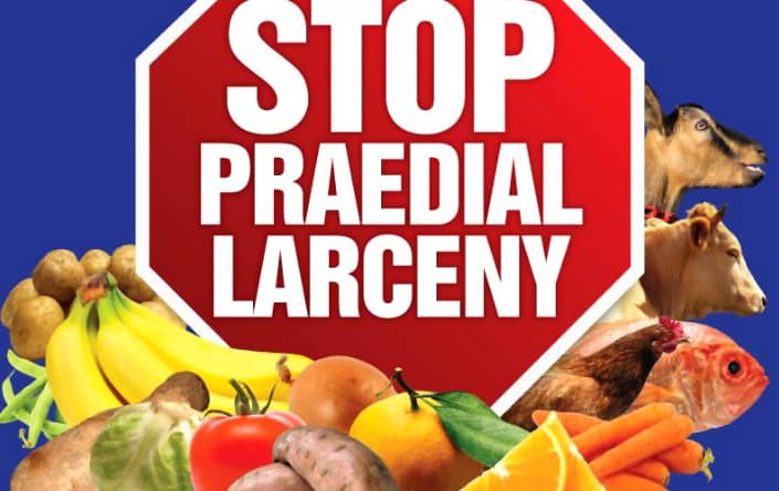 larceny-praedial-705x445