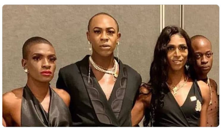 trans-jamaicans