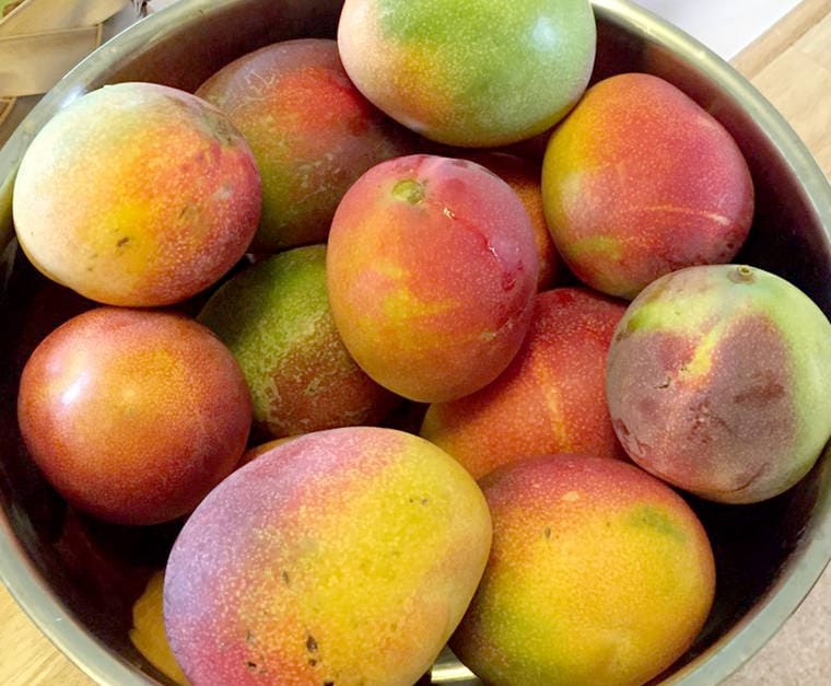 mango