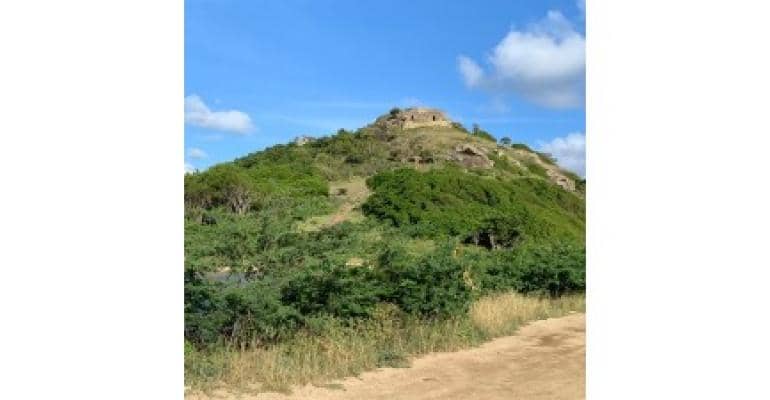 CRUISE_Fort_Barrington