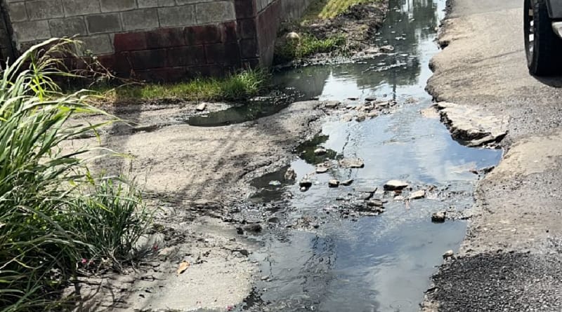 gutter-filth2-800x445