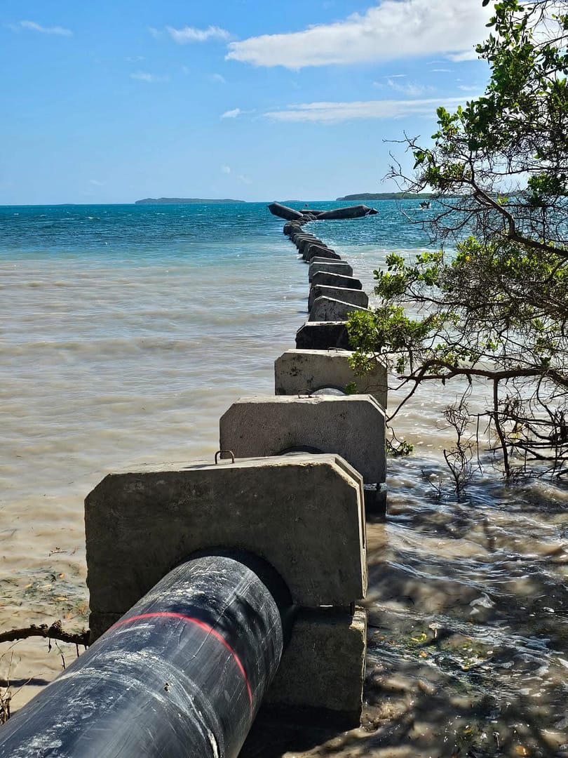 22fd5be7-0e1a-4e5c-9b6f-ed63069d35b0