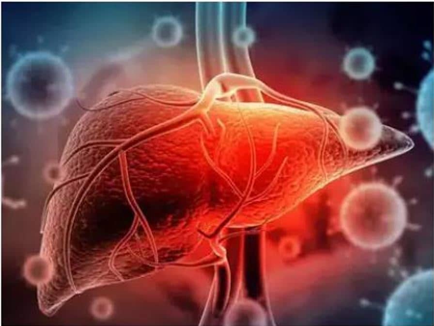 Liver