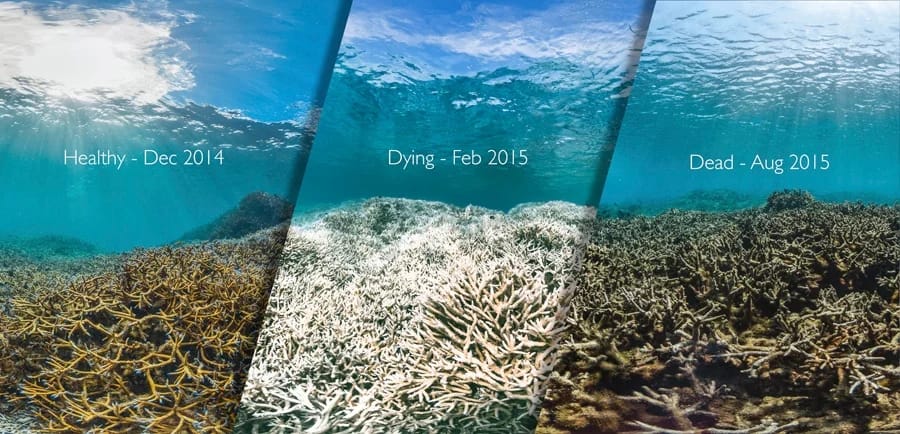 GREATBARRIERREEF