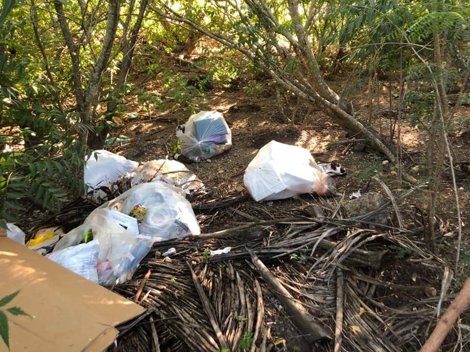 Littering