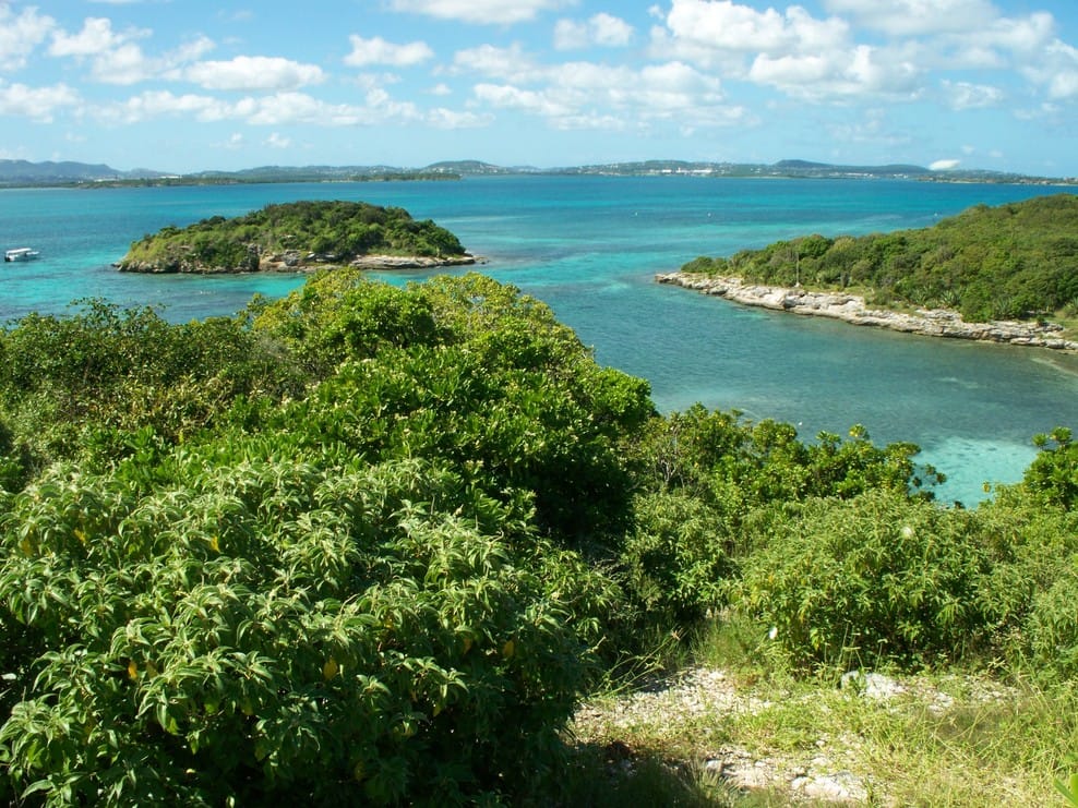 bird island