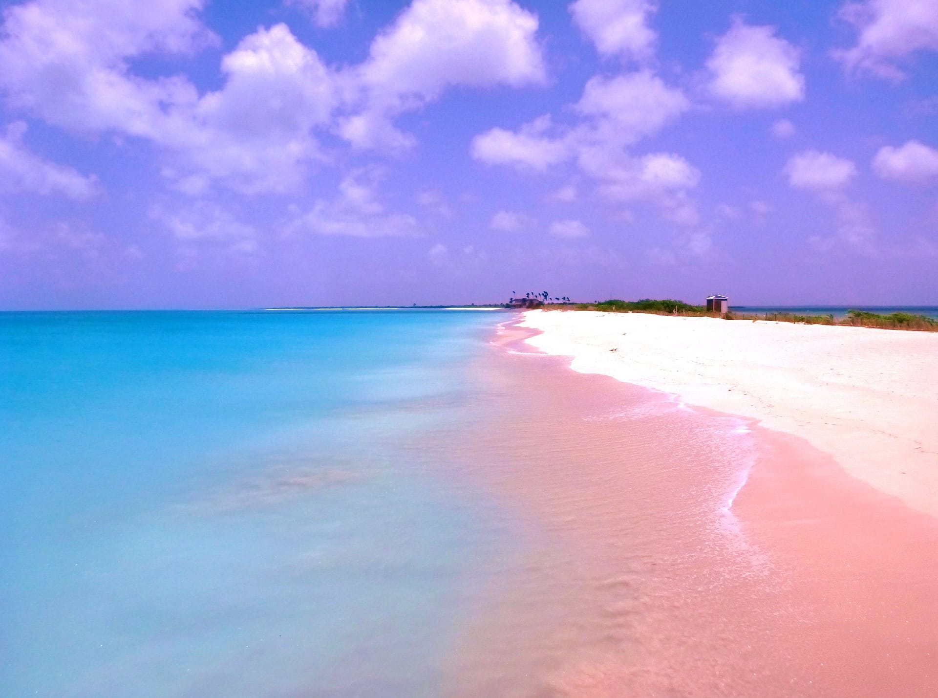 Barbuda's Pink Sand Beach named as the 7th best beach vacation destination  in the world - Antigua News Room