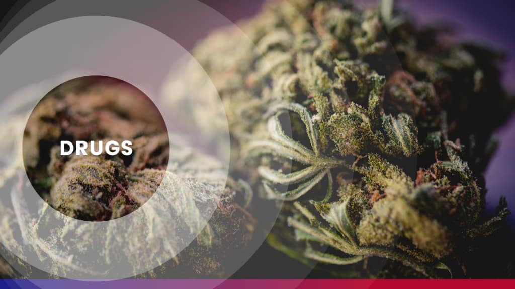 Several people charged following multiple drug arrests