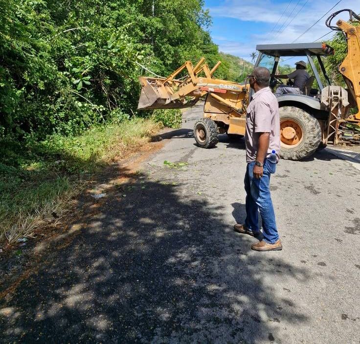MP Richard Lewis clears overgrown bushes to improve safety in Five Islands