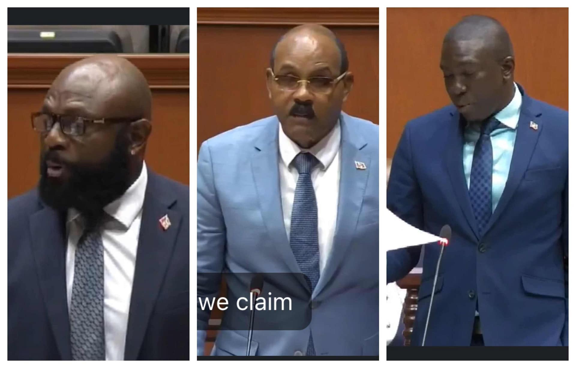 MP’s From Both Sides Back New Regional Authority to Police Citizenship by Investment Program