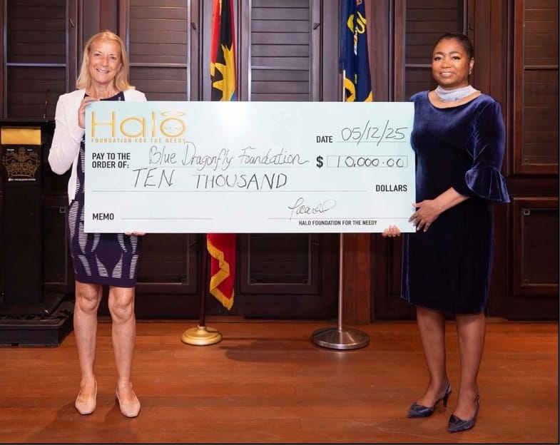 The Halo Foundation donates to The Blue Dragonfly Foundation’s Transformative Initiative