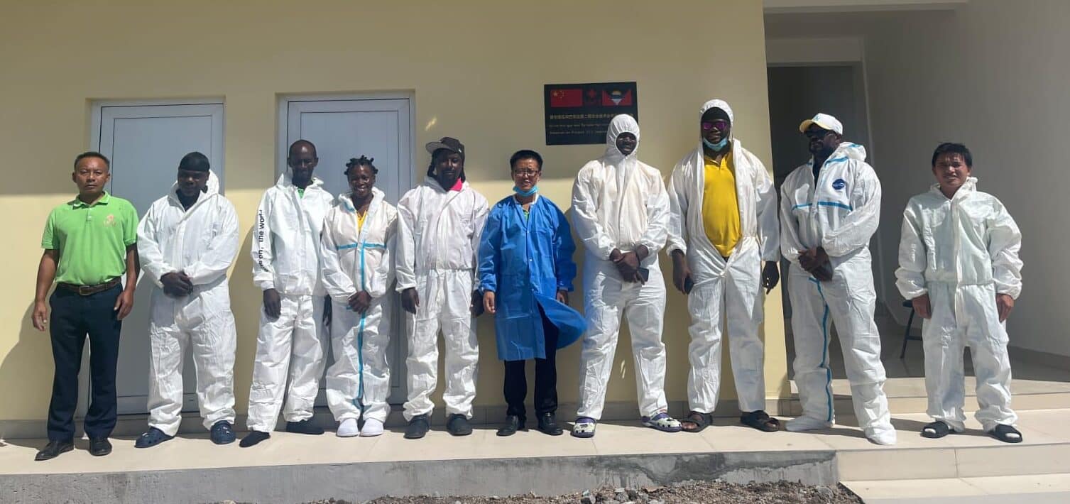 China–Antigua and Barbuda Training Boosts Plant Tissue Culture to Tackle Seedling Shortages
