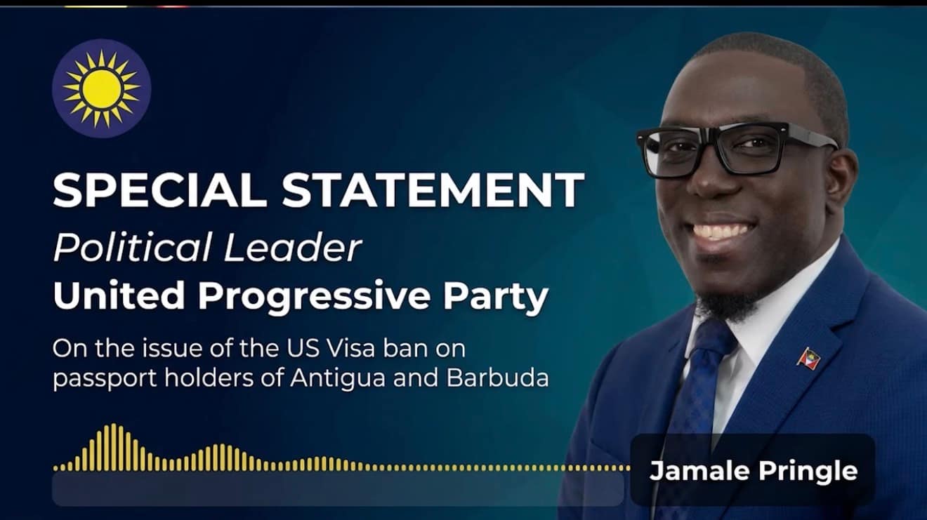 Pringle Promises Urgent Action on U.S. Visa Restrictions, Blames Government for Crisis