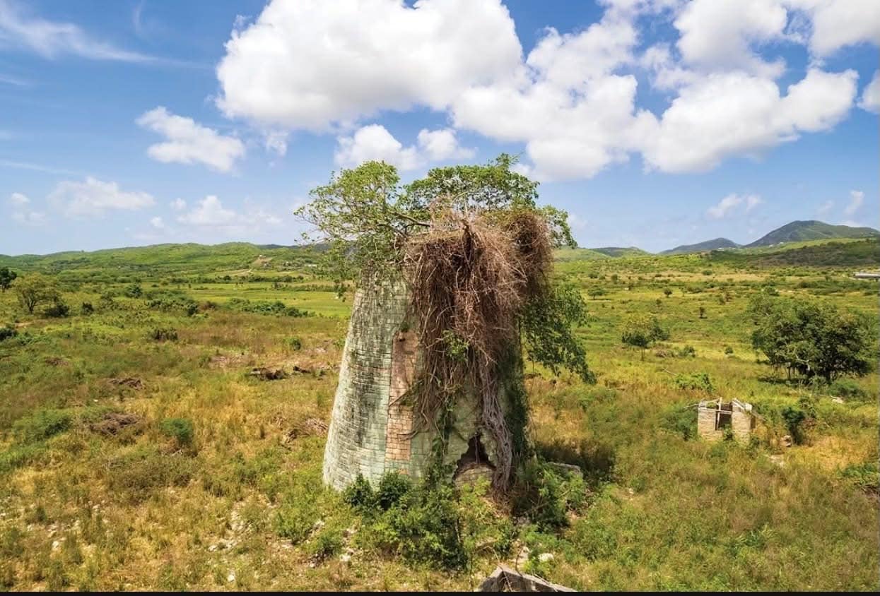Government of Antigua and Barbuda Expands Land Empowerment Programme with New All Saints Development – Monthly Payments as low as $175